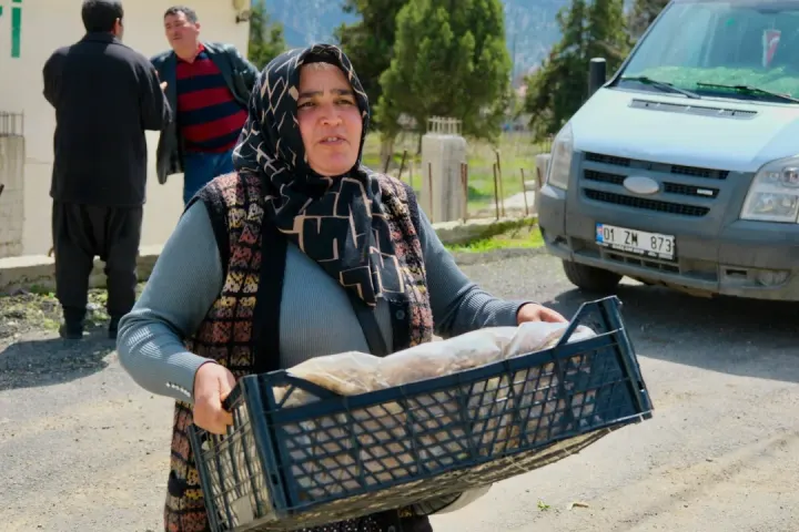 Pozantı’da Üretime 900 Bin Çilek Fidesi Desteği 