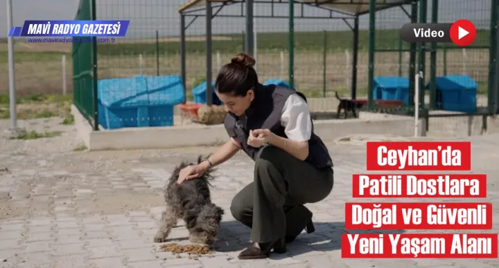 Ceyhan’da Patili Dostlara Doğal ve Güvenli Yeni Yaşam Alanı 