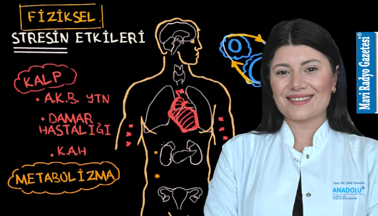 Stresin vücuda 7 zararı 