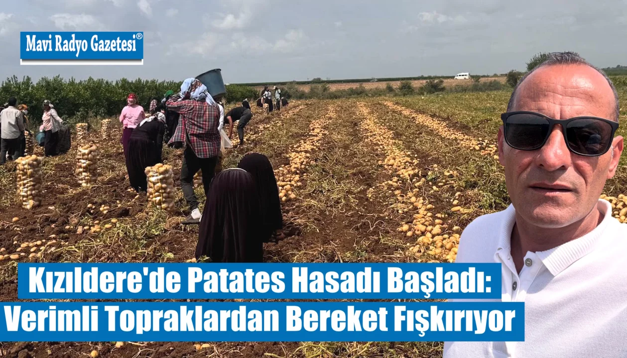 Kızıldere'de Patates Hasadı Başladı: Verimli Topraklardan Bereket Fışkırıyor 