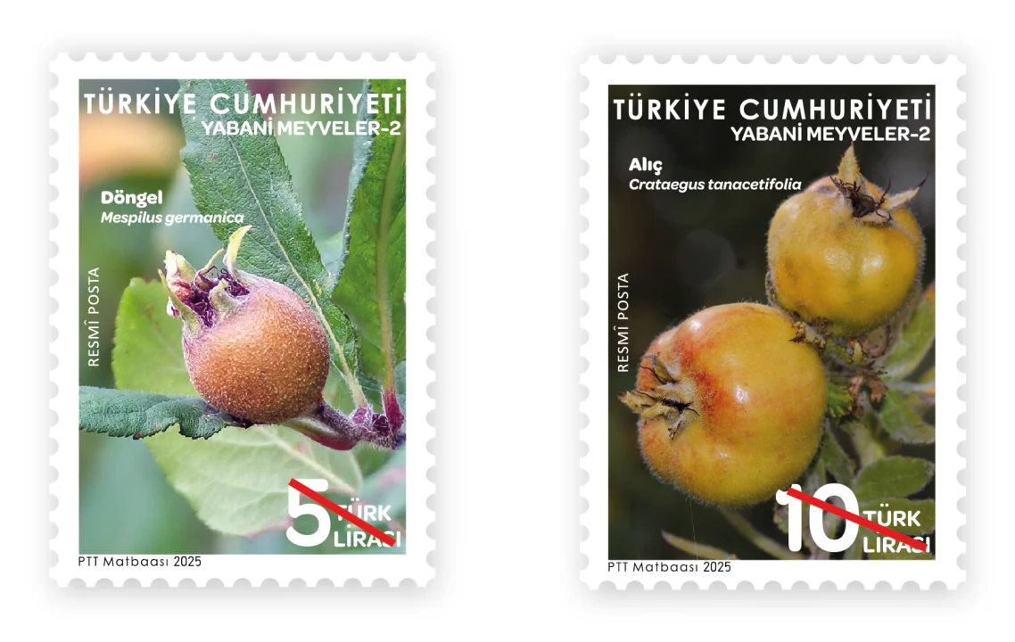 PTT'DEN “YABANİ MEYVELER-2” KONULU RESMİ POSTA PULLARI 