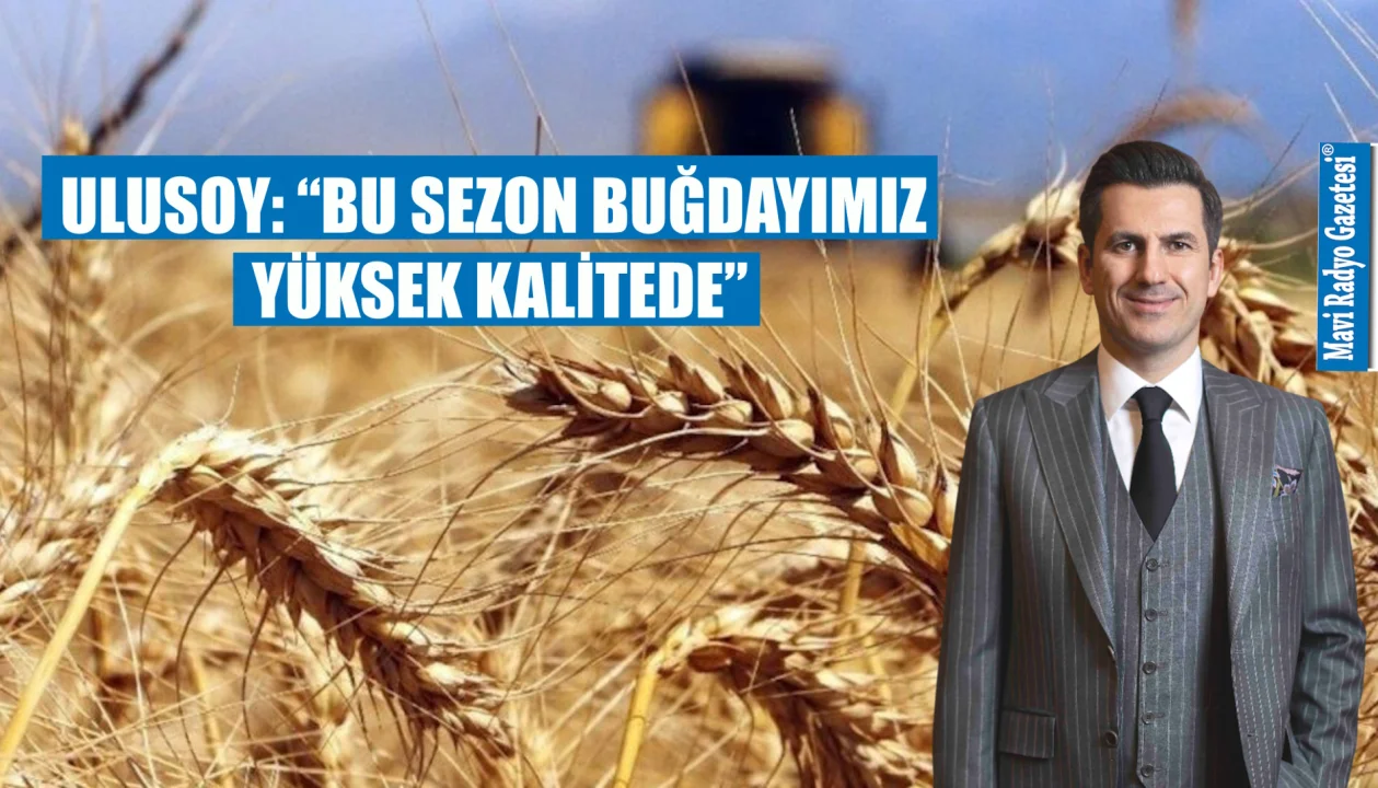 ULUSOY: “BU SEZON BUĞDAYIMIZ YÜKSEK KALİTEDE” 
