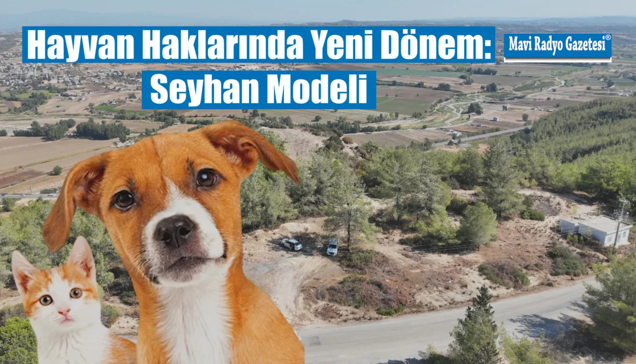 Hayvan Haklarında Yeni Dönem: Seyhan Modeli 