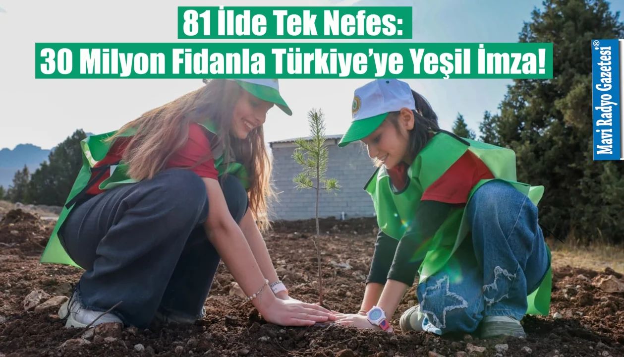 81 İlde Tek Nefes: 30 Milyon Fidanla Türkiye’ye Yeşil İmza! 