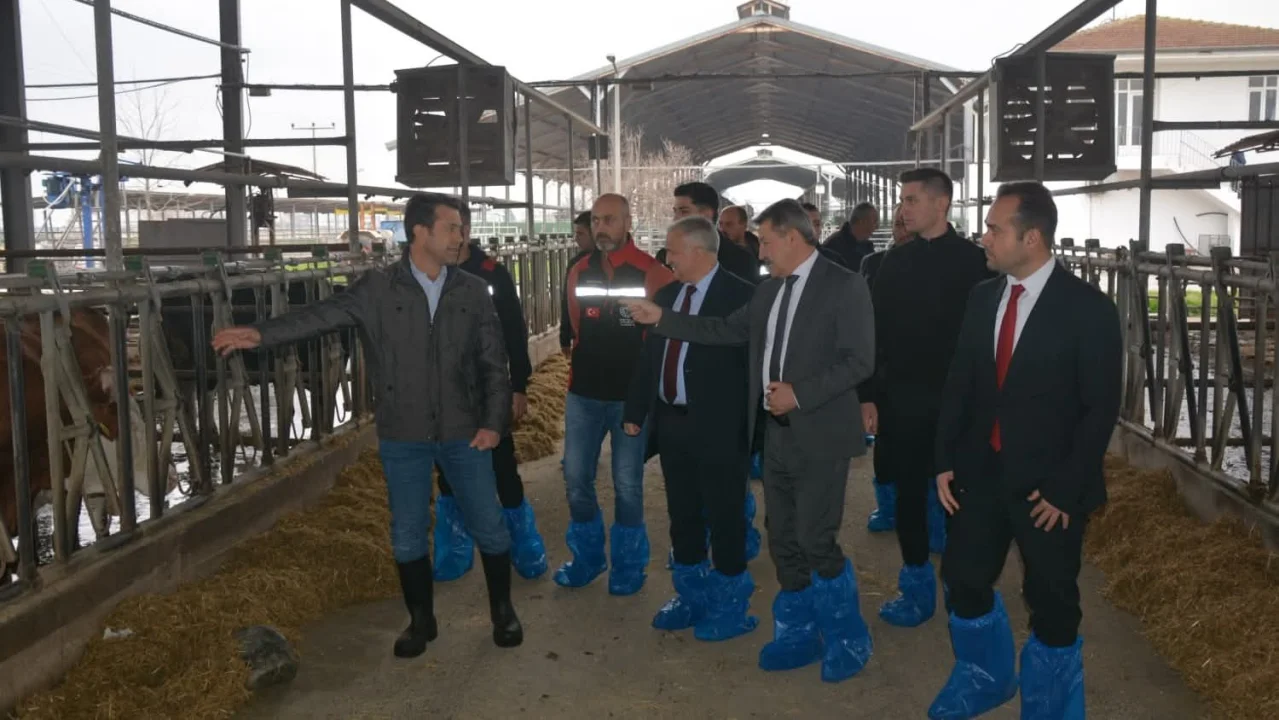 Ceyhan Kaymakamı Kurtyemez'den Yerli Sığır Irkı GAK’a Destek Ziyareti