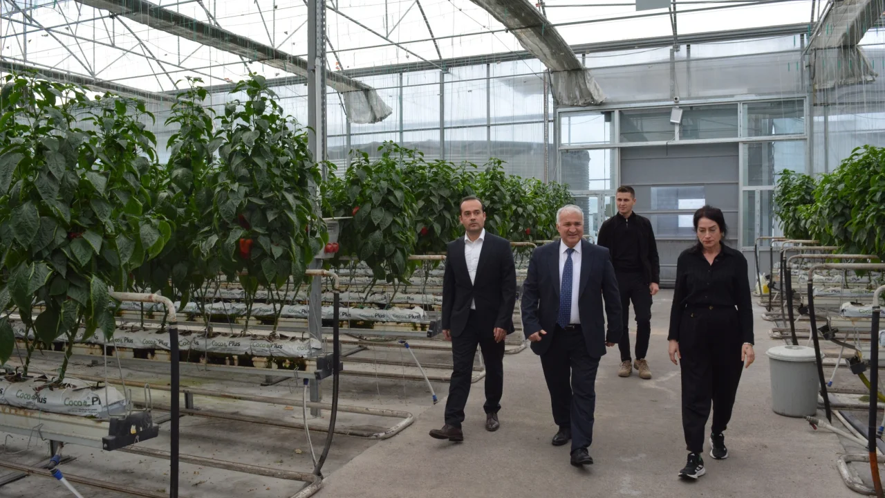 Ceyhan’da Topraksız Tarım Hamlesi 