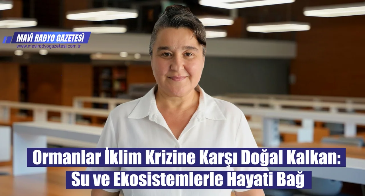 Ormanlar İklim Krizine Karşı Doğal Kalkan: Su ve Ekosistemlerle Hayati Bağ 