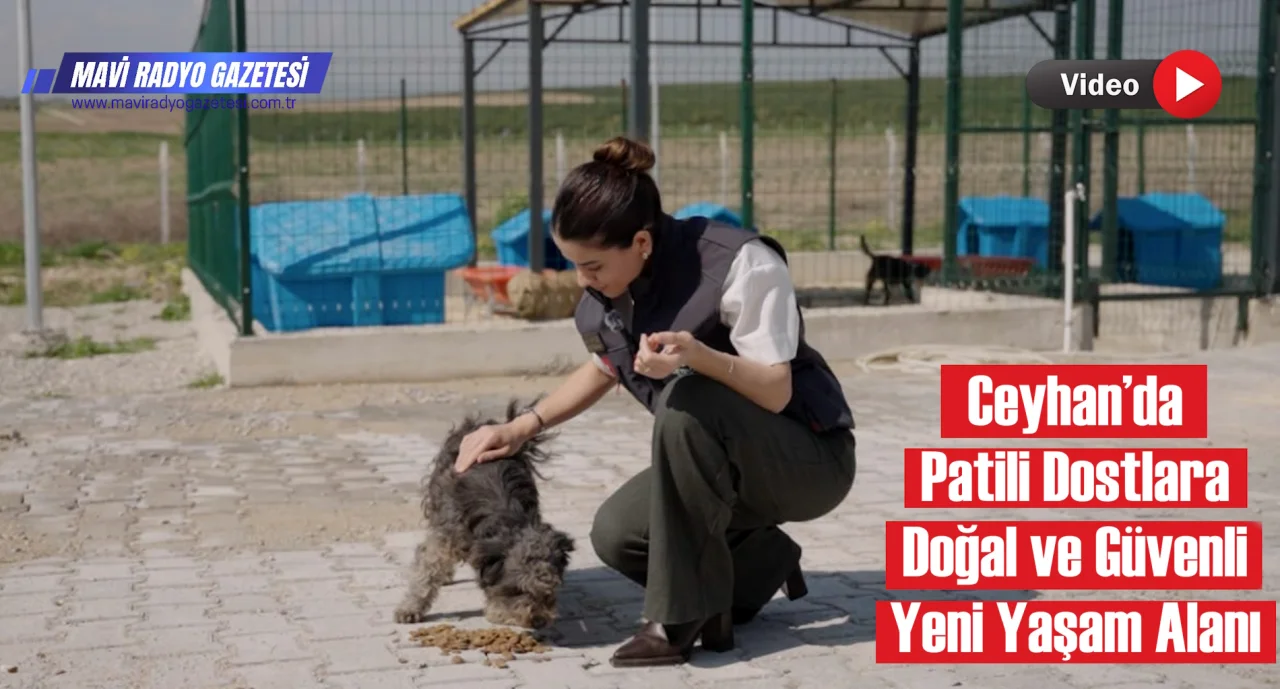 Ceyhan’da Patili Dostlara Doğal ve Güvenli Yeni Yaşam Alanı 