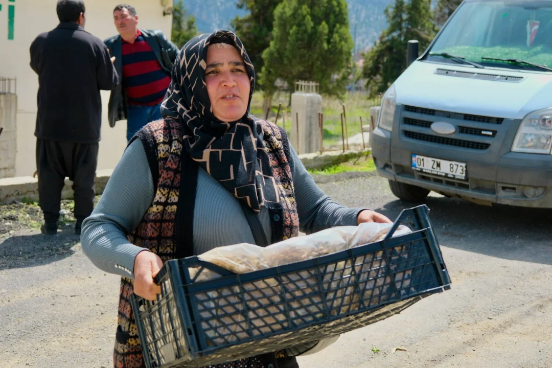 Pozantı’da Üretime 900 Bin Çilek Fidesi Desteği